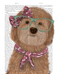 Cockerpoo, Apricot, with Glasses and Scarf