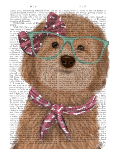 Cockerpoo, Apricot, with Glasses and Scarf