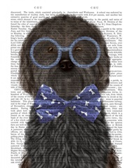 Cockerpoo, Black, with Glasses and Bow Tie