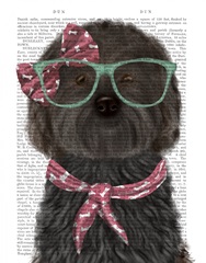 Cockerpoo, Black, with Glasses and Scarf