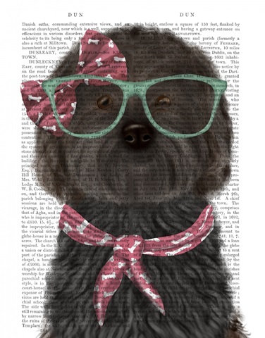Cockerpoo, Black, with Glasses and Scarf