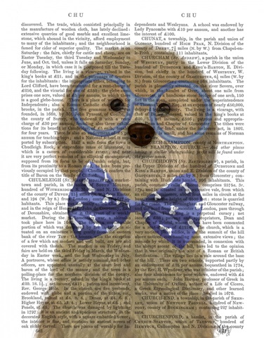 Cockerpoo, Blonde, with Glasses and Bow Tie