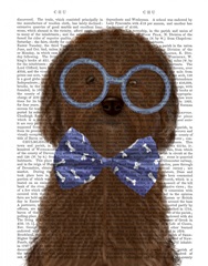 Cockerpoo, Chocolate, with Glasses and Bow Tie