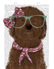 Cockerpoo, Chocolate, with Glasses and Scarf