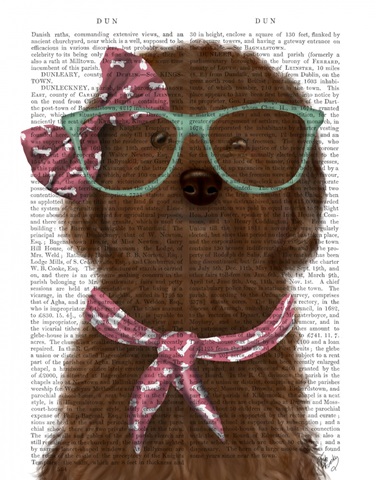 Cockerpoo, Chocolate, with Glasses and Scarf