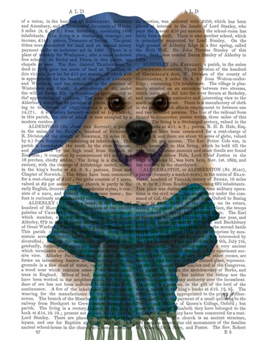 Corgi Baseball Hat and Scarf