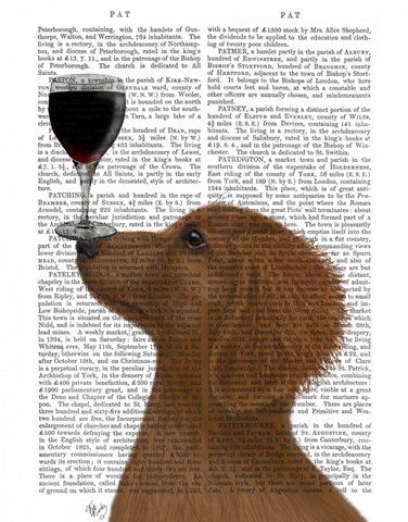 Dog Au Vin, Dachshund Gold