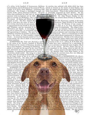 Dog Au Vin, Pit Bull