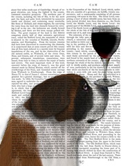 Dog Au Vin, St Bernard