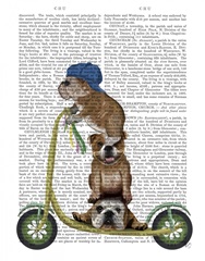 English Bulldog Scooter