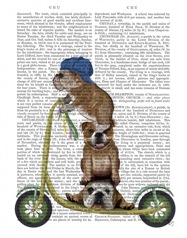 English Bulldog Scooter