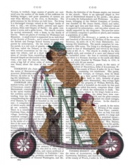 French Bulldog Scooter