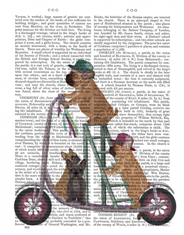 French Bulldog Scooter