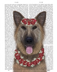 German Shepherd Edelweiss