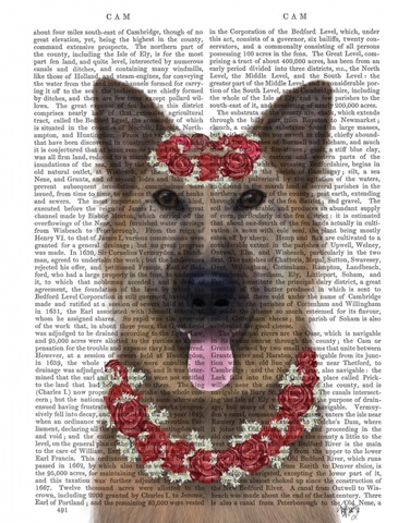 German Shepherd Edelweiss