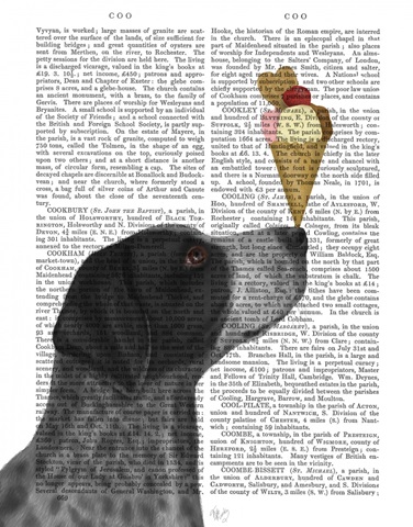 German Shorthaired Pointer Ice Cream, Black