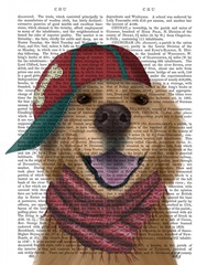 Golden Retriever and Baseball Cap