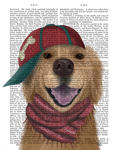 Golden Retriever and Baseball Cap