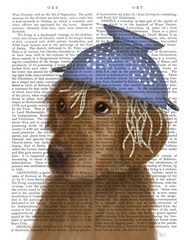 Golden Retriever and Spaghetti