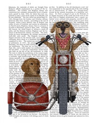 Golden Retriever Chopper and Sidecar