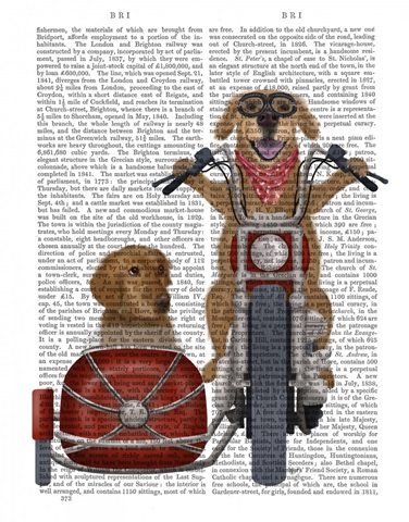 Golden Retriever Chopper and Sidecar