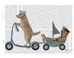 Golden Retriever Scooter