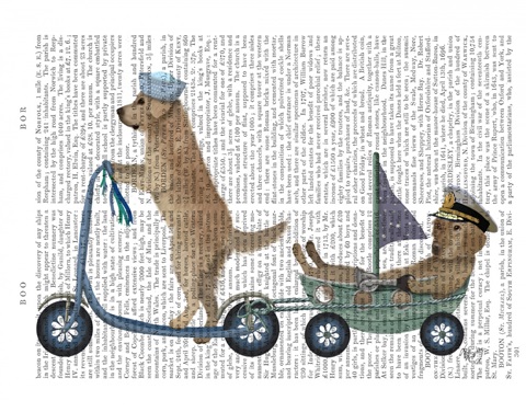 Golden Retriever Scooter