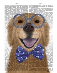 Golden Retriever, Glasses and Bow Tie