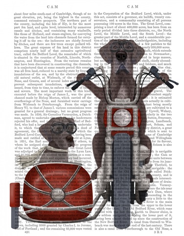 Great Dane Chopper and Sidecar