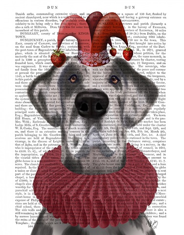 Great Dane Strawberry Fool