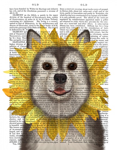 Husky Sunflower