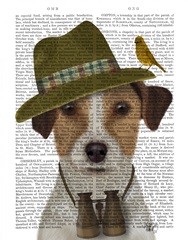 Jack Russell Bird Watcher