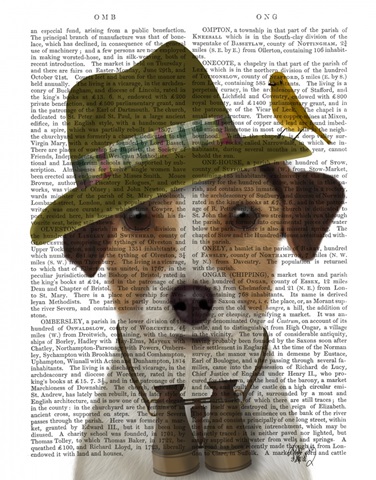 Jack Russell Bird Watcher