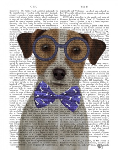 Jack Russell with Glasses and Bow Tie