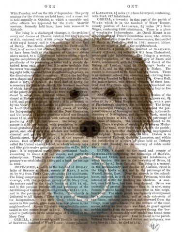 Labradoodle, Cream, Food Bowl