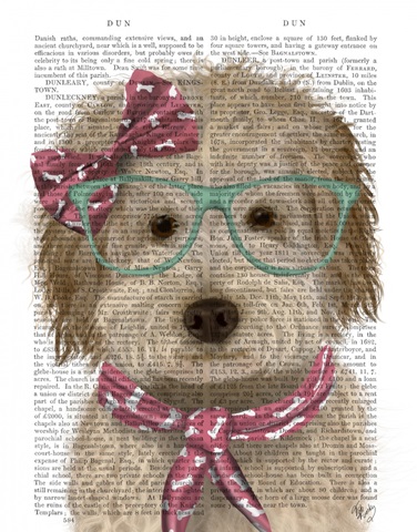 Labradoodle, Cream, with Glasses and Scarf