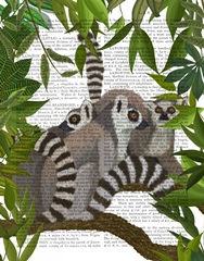 Lemur Family in Canopy