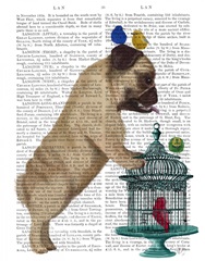Pug and Birdcage