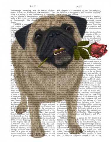 Pug and Rose