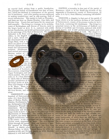Pug, Catch 1