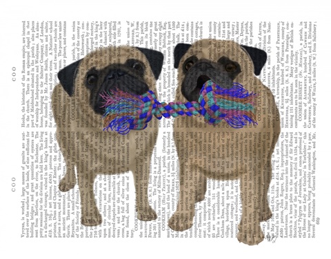 Pugs and Cloth Bone