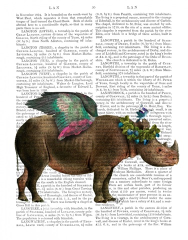 Rhino with Strawberry Crown