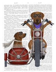 Rhodesian Ridgeback Chopper and Sidecar
