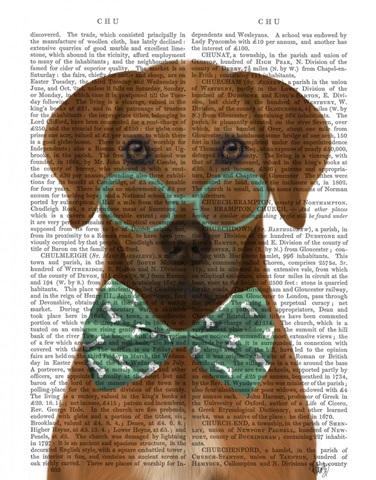 Rhodesian Ridgeback with Glasses and Bow Tie