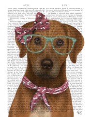 Rhodesian Ridgeback with Glasses and Scarf