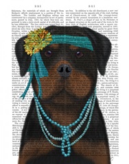 Rottweiler Flapper
