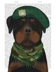 Rottweiler Military Dog