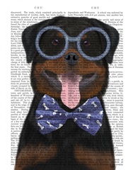 Rottweiler with Glasses and Bow Tie