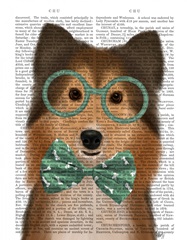 Shetland Sheepdog with Glasses and Bow Tie