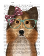 Shetland Sheepdog with Pink Bow